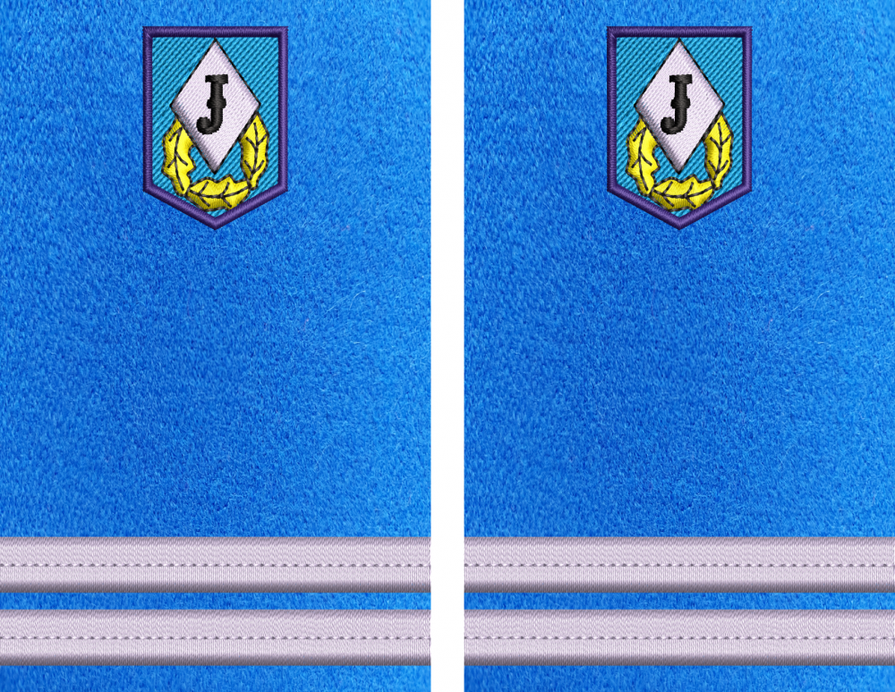 GRADE LOCOTENENT JANDARMI